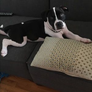 Meet your Posher, Renee